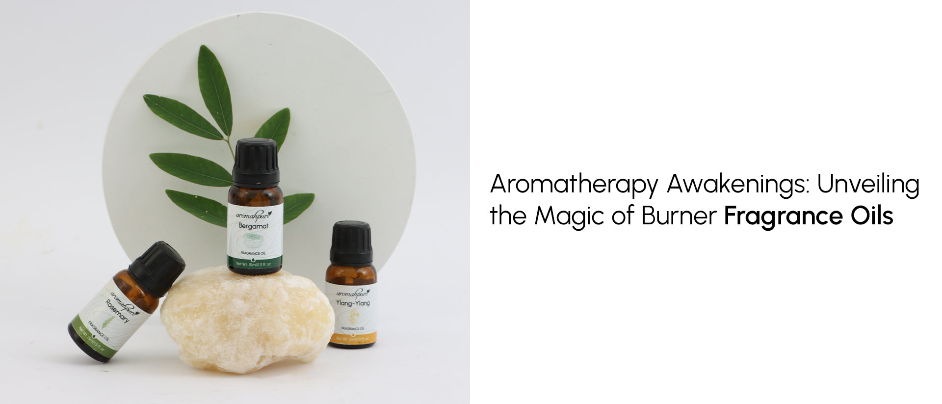 Aromatherapy Awakenings: Unveiling the Magic of Burner Fragrance Oils