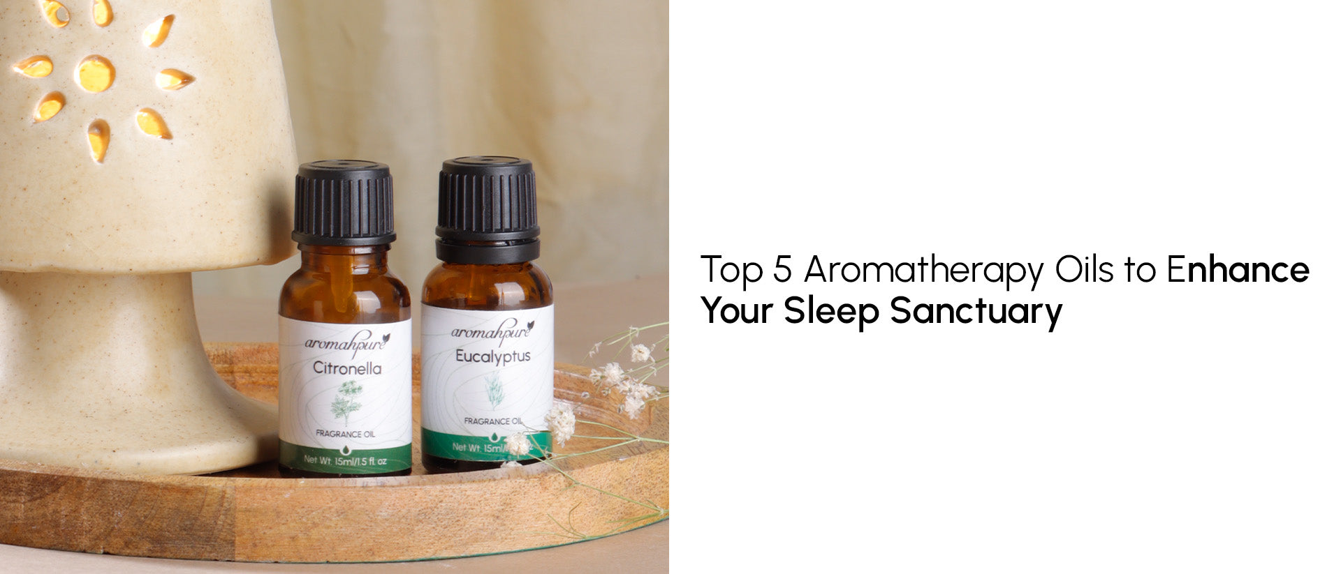 Top 5 Aromatherapy Oils to Enhance Your Sleep Sanctuary