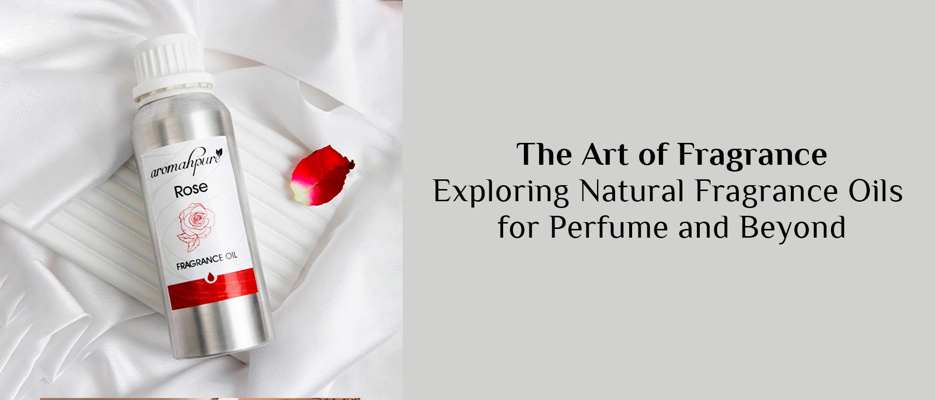 The Art of Fragrance: Exploring Natural Fragrance Oils for Perfume and Beyond