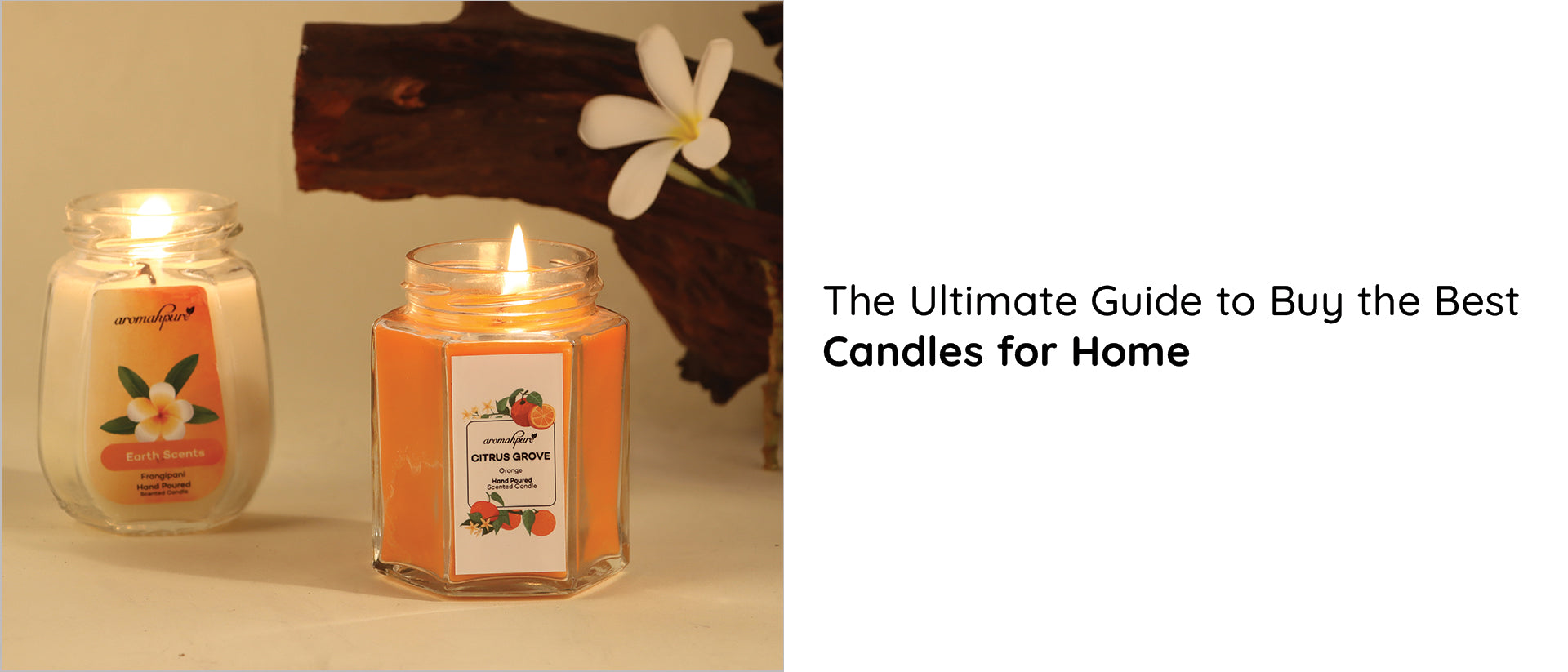 The Ultimate Guide to Buy the Best Candles for Home