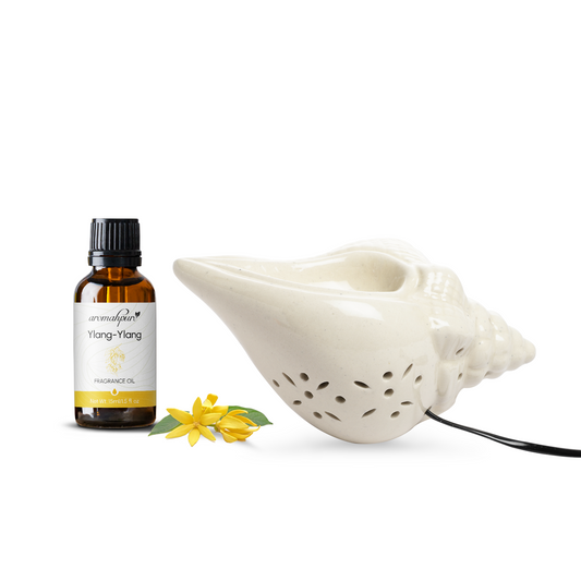 White Electric Ceramic Shell Diffuser with 15 ml Fragrance Oil ( Ylang Ylang Secret )