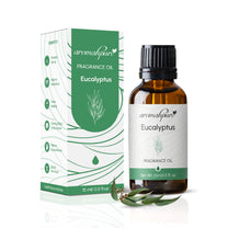 Eucalyptus Fragrance Oil