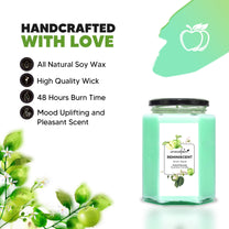 Aromahpure Soy Wax Hexa Jar Candle, 96 Hours Burning Time Guaranteed (Green Apple, Thai Lemongrass)