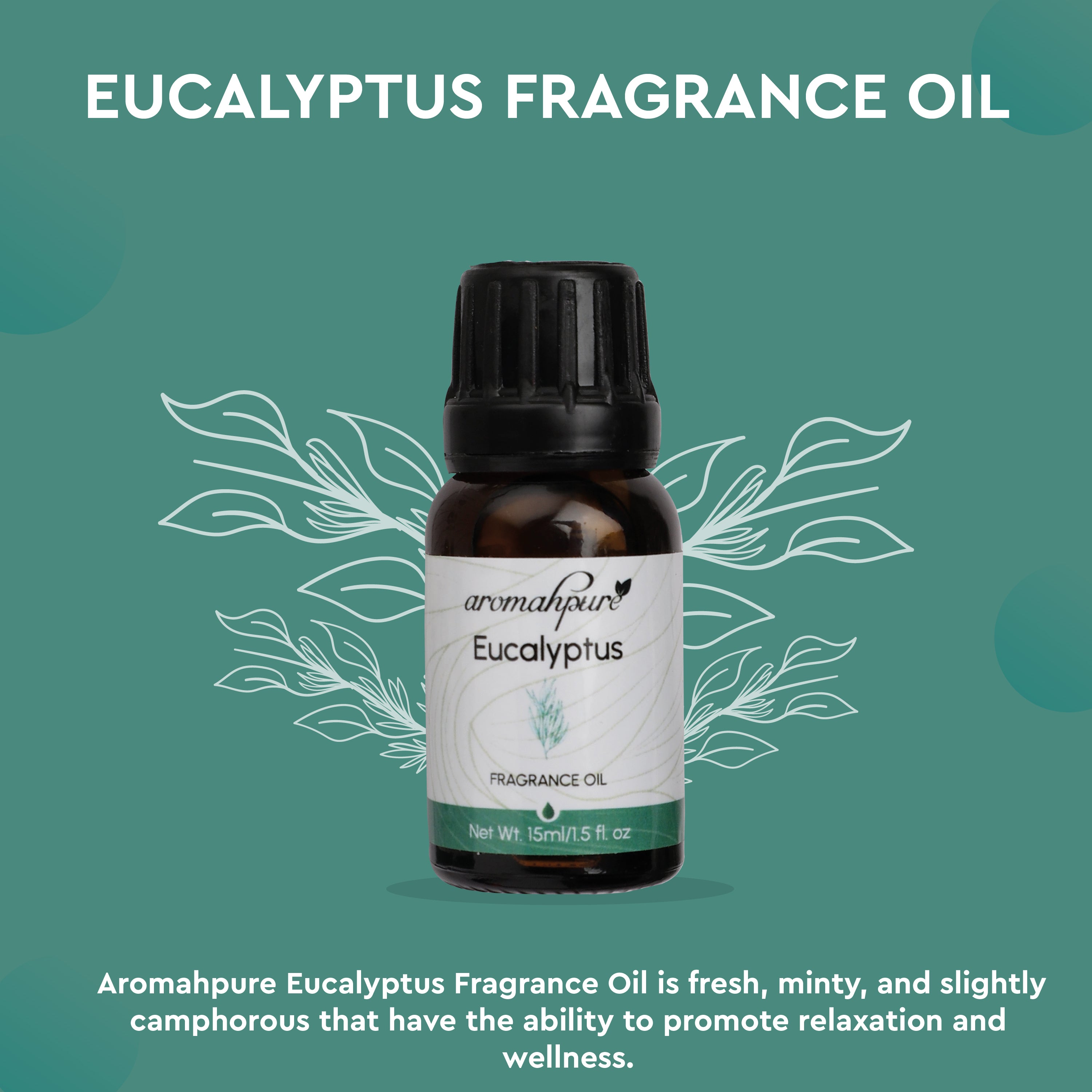 Eucalyptus perfume best sale