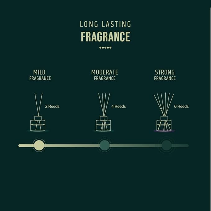 Reed diffuser with Long lasting Fragrance