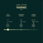 Reed diffuser with Long lasting Fragrance