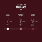 Reed Diffuser - White Jasmine | 60 ML | 4 Reed Sticks