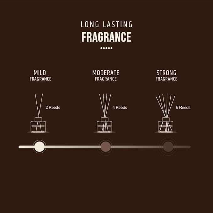 Reed diffuser with Long lasting Fragrance