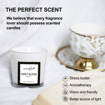 Aromahpure Soy Wax Luxury Scented Candles (Assorted) (Set 1)