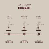 reed diffuser long lasting fragrances
