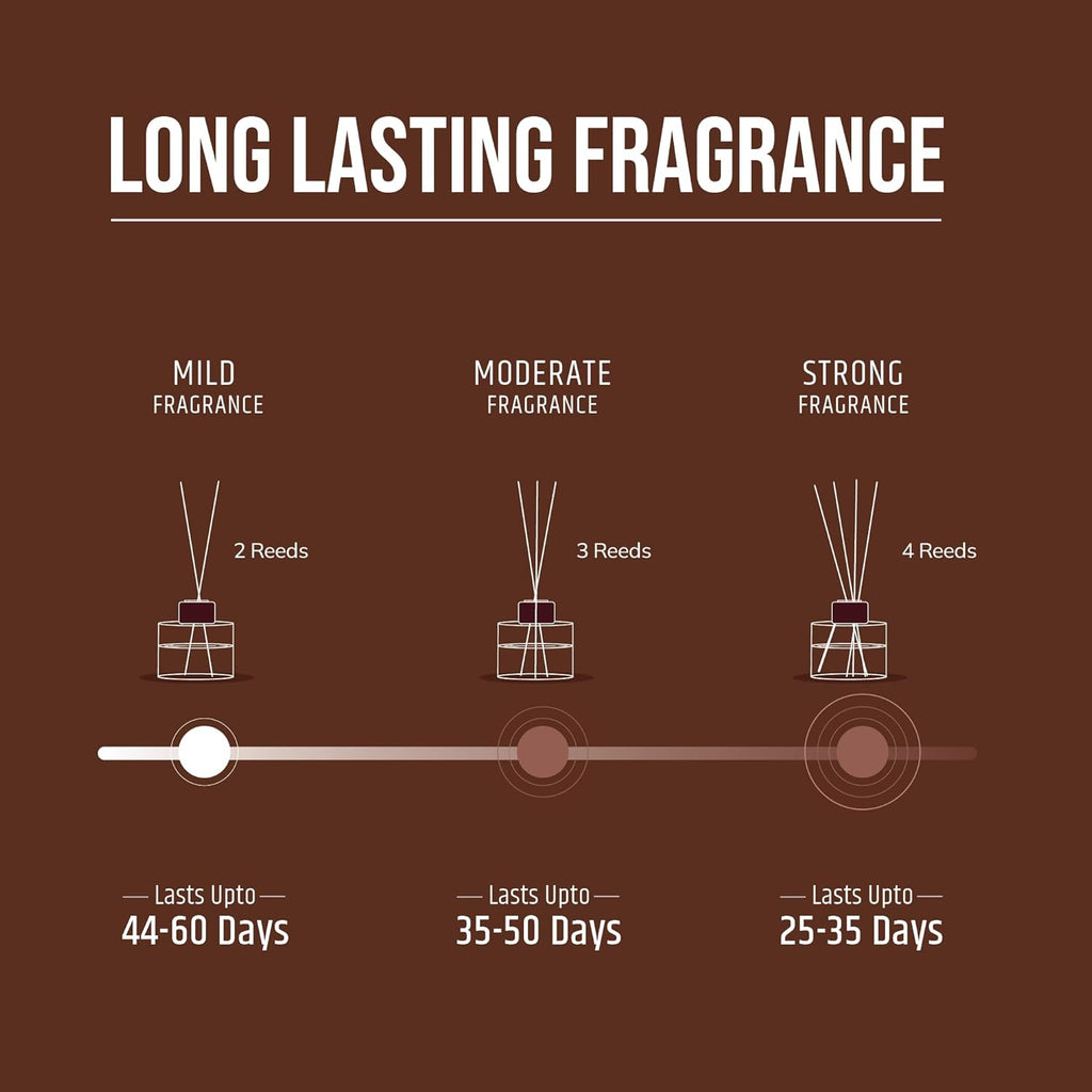 Reed Diffuser Long Lasting Fragrance