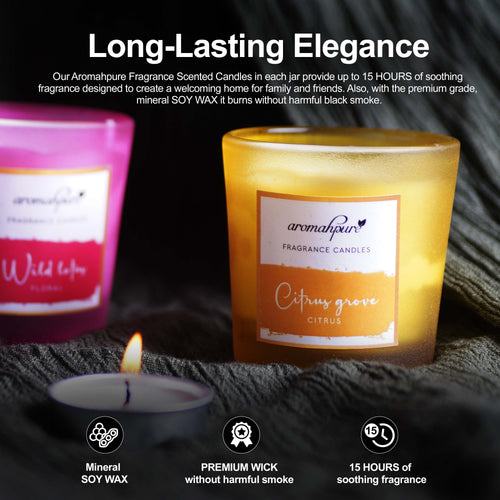 Soy Wax Luxury Fragrance Candles (Assorted) (Set 1) | Summer Lust, Spice MIA, Wild Lotus, Citrus Grove Fragrance Candles for Home | Gift Hamper for Family