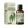 Eucalyptus Aroma Fragrance Oil