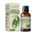 Eucalyptus Aroma Fragrance Oil