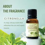 Citronella Aroma Fragrance Oil 