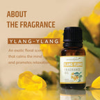 Ylang - Ylang Aroma Fragrance Oil