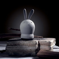 Bunny Air freshener