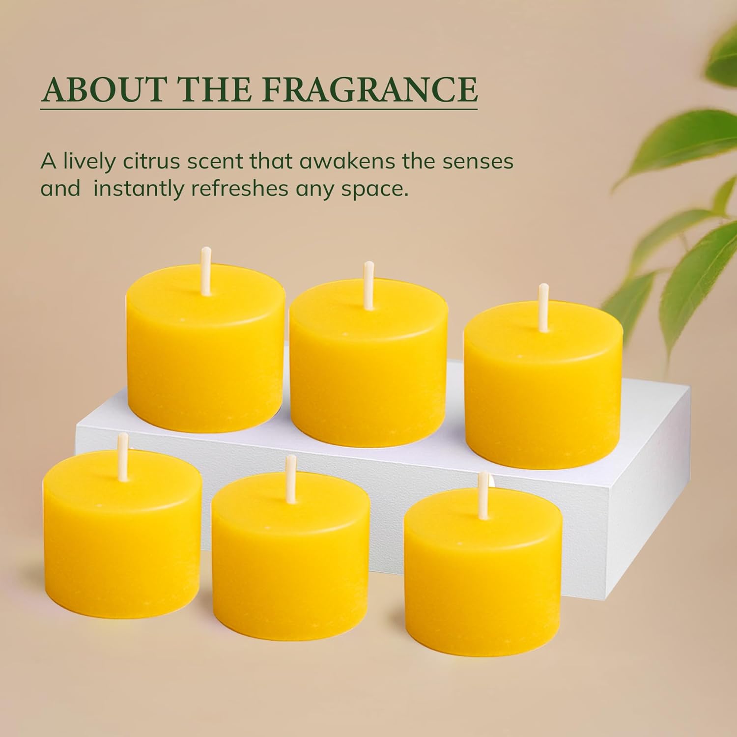 Scented Candles pack of 6 citrus scent