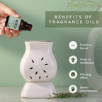 Benefits of Tea Tree Aroma Fragrance Oil 