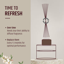 reed diffuser features