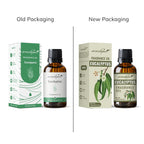 Eucalyptus Aroma Fragrance Oil Packaging
