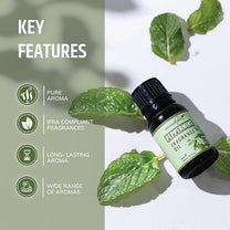 Peppermint Fragrance Oil