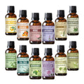 Fresh Floral Series Fragrance oil pack of 12