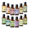 Fragrance Oils- Fresh Floral Series | Set of 12 | 180 ml | Aroma Oil for Home Fragrance | Best for Aromatherapy | Used in Diffusers, Candles, Air Fresheners, Soaps