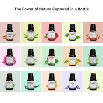 Fragrance Oil - Fusion Series (Set of 15) - 225 ml