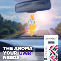 Aromahpure Camphor Cube Air Freshener (Bhimseni + Cocktail)