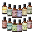 Warm & Rich Series fragrance oil