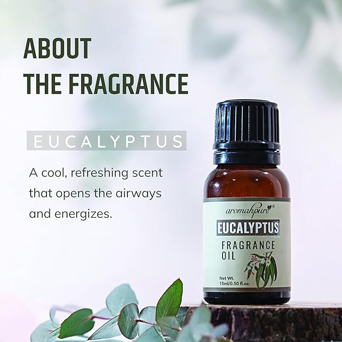 Eucalyptus Aroma Fragrance Oil