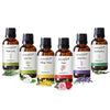 Fragrance Oils- Floral Series (Set of 6) - 90 ml | Aroma Oil for Home Fragrance | Best for Aromatherapy | Used in Diffusers, Candles, Air Fresheners, Soaps.
