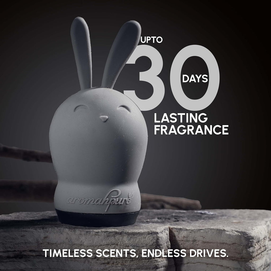 Long lasting car air freshener up to 30 days