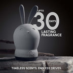 Long lasting car air freshener up to 30 days