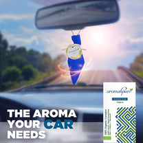 Aromahpure Camphor Cube Air Freshener (Original)