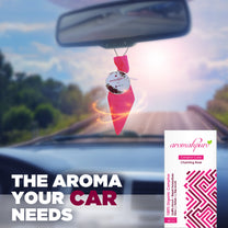 Aromahpure Camphor Cube Air Freshener (Rose + Original)