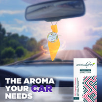 Aromahpure Camphor Cube Air Freshener (Cocktail + French Coffee)