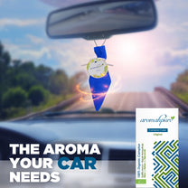 Aromahpure Camphor Cube Air Freshener (White Blossom + Original)