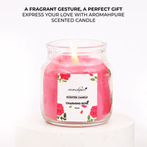 Aromahpure Soy Wax Yankee Jar Candles, 50 Hours Burning Time Guaranteed (Joyful Lavender, Charming Rose)