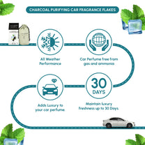 Aromahpure Premium Car Perfume Flakes with Activated Charcoal - Classic (Aqua Mint)