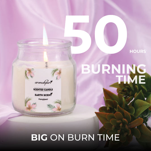 Aromahpure Soy Wax Yankee Jar Candles, 50 Hours Burning Time Guaranteed (Joyful Lavender, Earth Scent)