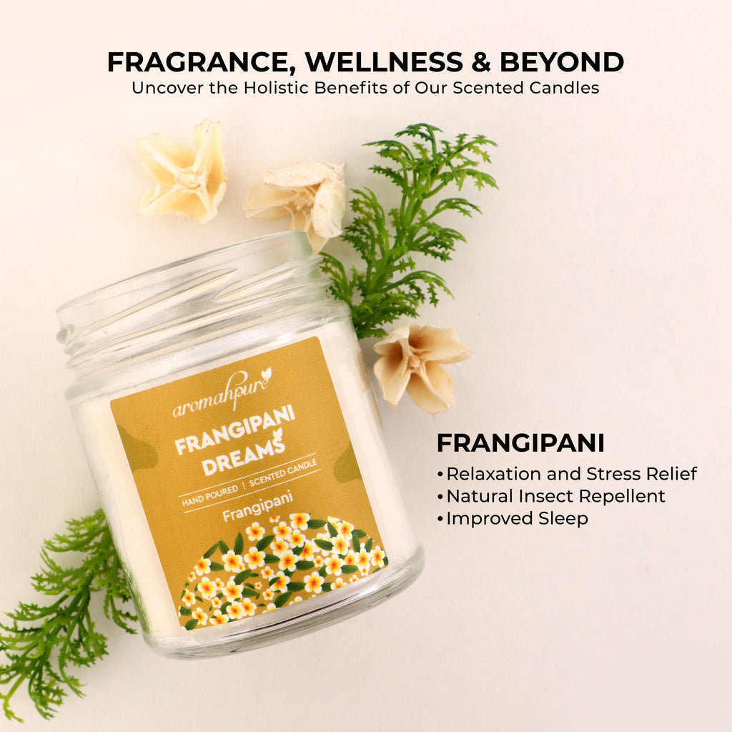 Big round jar scented candles  frangipani fragrance with key features