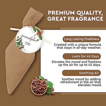 Aromahpure Camphor Cube Air Freshener (Sandalwood + French Coffee)