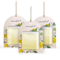 Gel Wink Hanging Car Perfume Lemon Zest Pack of 3