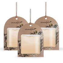 Gel Wink Hanging Car Perfume Musk Essence Pack of 3