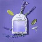 Hanging Car Perfume Gel wink Lavender Dream