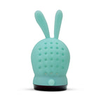 Bunny car air freshener
