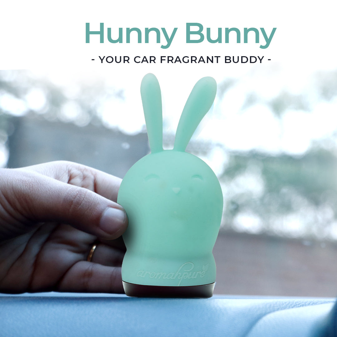 Bunny car fragrant buddy