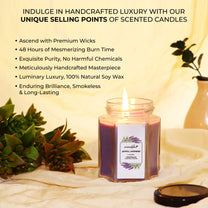 Aromahpure Soy Wax Hexa Jar Candle, 48 Hours Burning Time Guaranteed (Joyful Lavender)